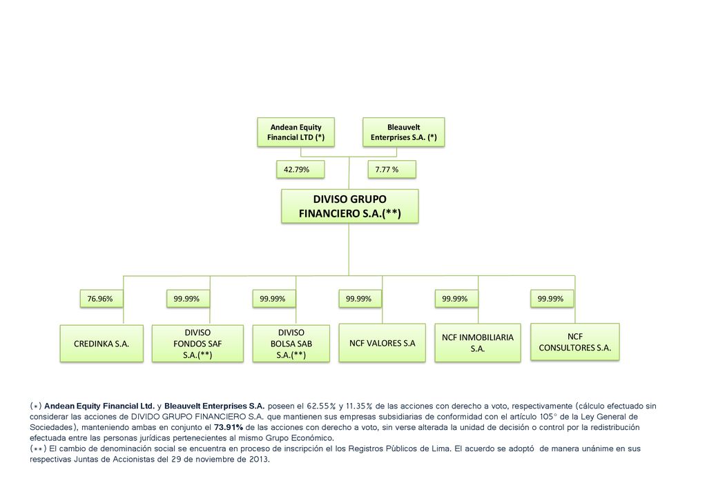 (. ) Andean Equity Financial Ltd. y Bleauvelt Enterprises S. A