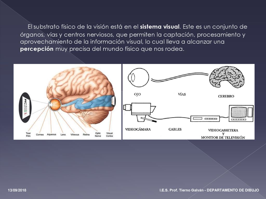 El substrato físico de la visión está en el sistema visual