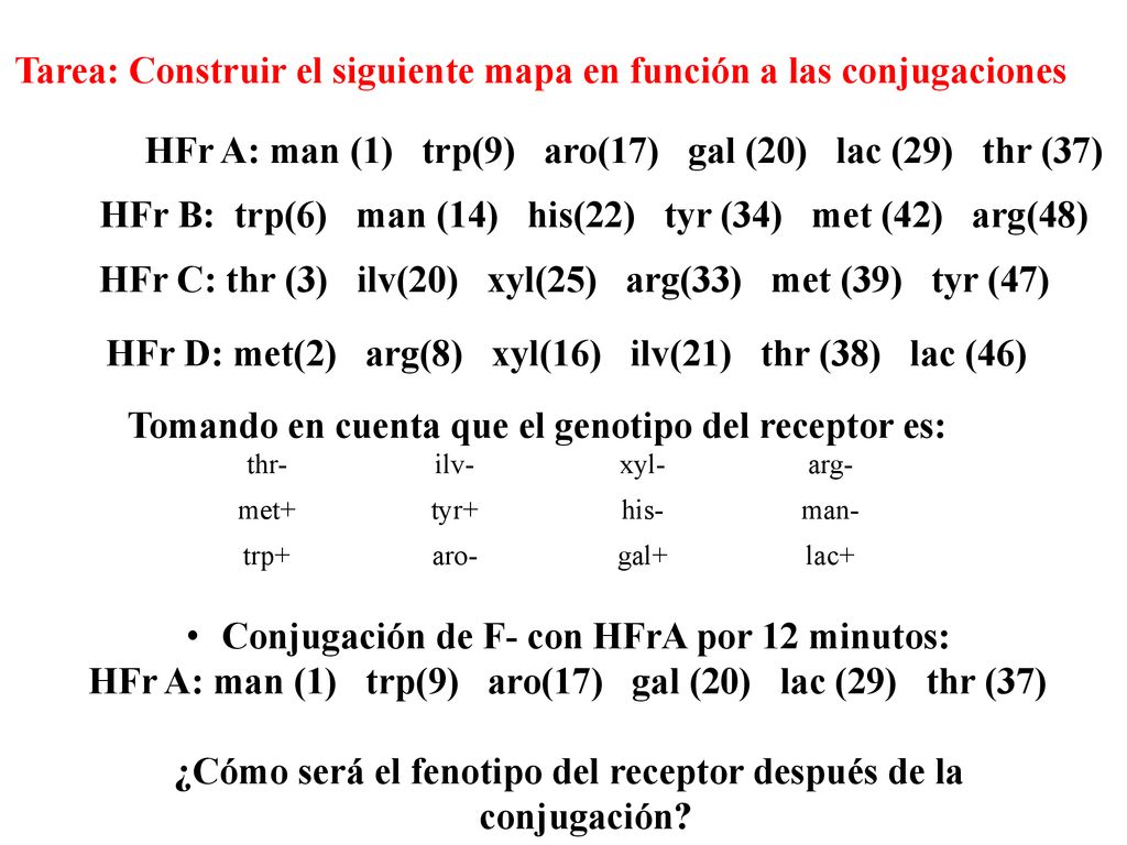 Tarea: Construir el siguiente mapa en función a las conjugaciones