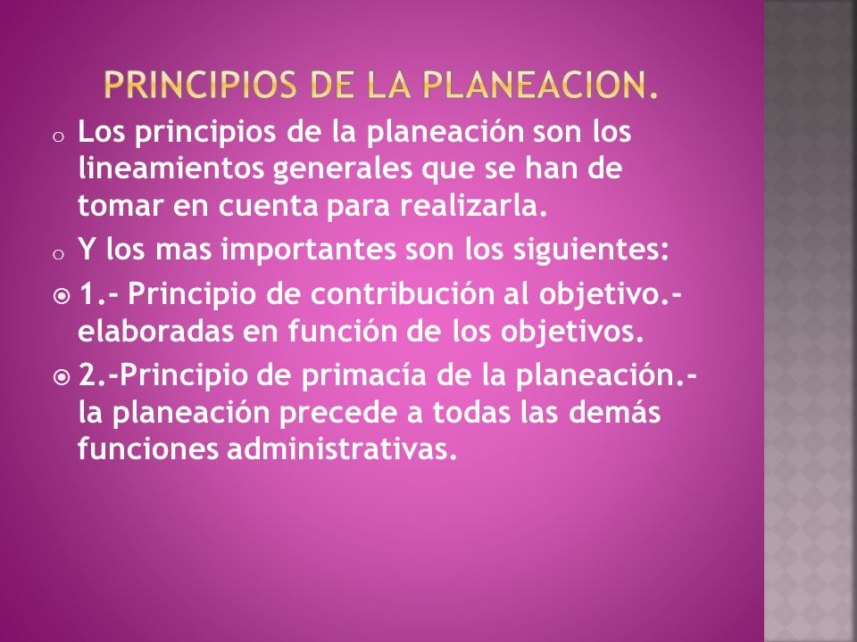 PRINCIPIOS DE LA PLANEACION.