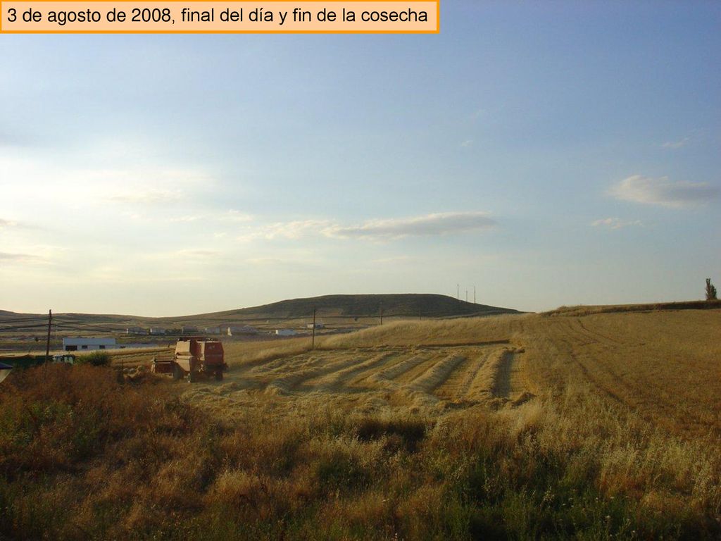 3 de agosto de 2008, final del día y fin de la cosecha