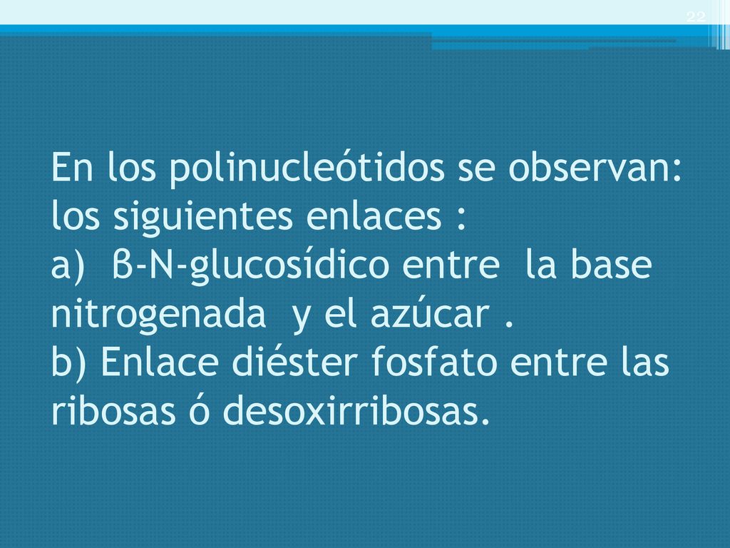 En los polinucleótidos se observan: los siguientes enlaces : a) β-N-glucosídico entre la base nitrogenada y el azúcar .