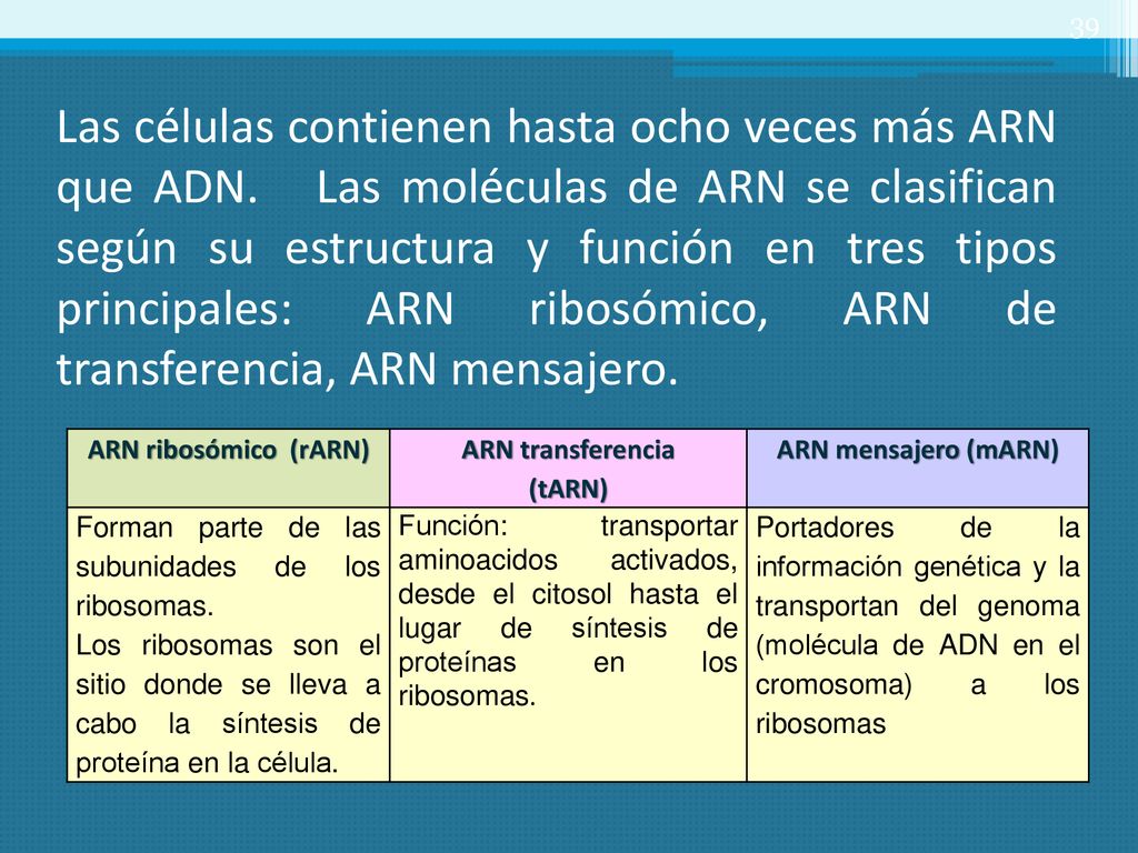 Las células contienen hasta ocho veces más ARN que ADN