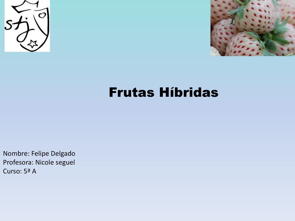 Frutas Híbridas Nombre: Felipe Delgado Profesora: Nicole seguel Curso: 5ª A