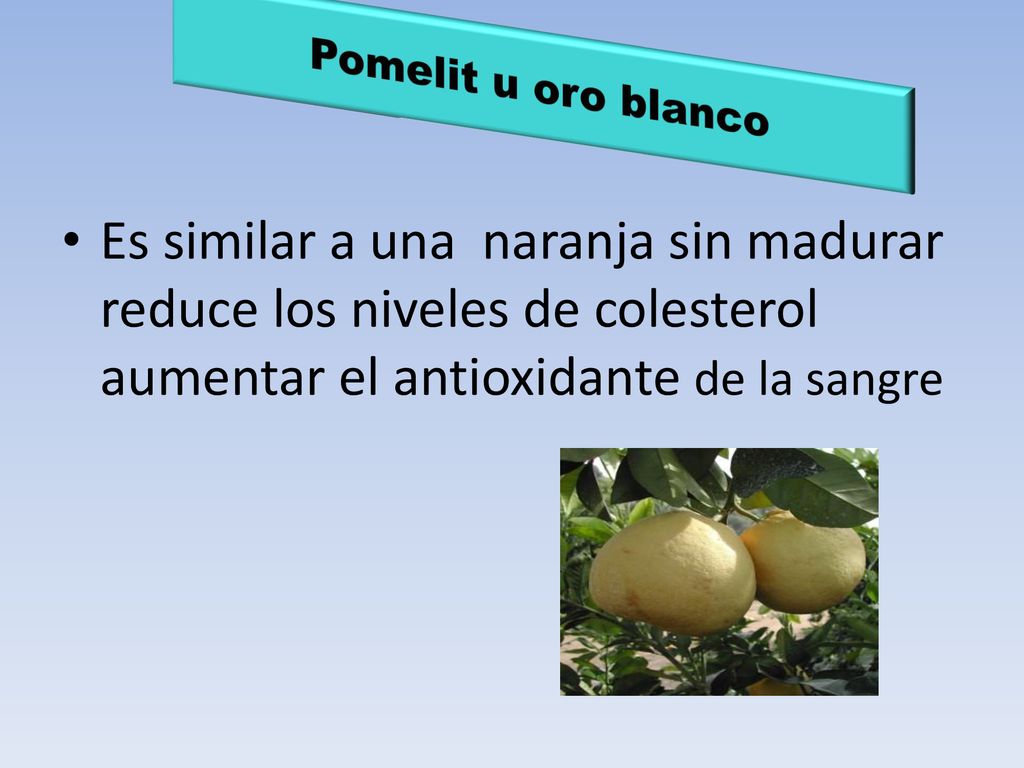Pomelit u oro blanco Es similar a una naranja sin madurar reduce los niveles de colesterol aumentar el antioxidante de la sangre.