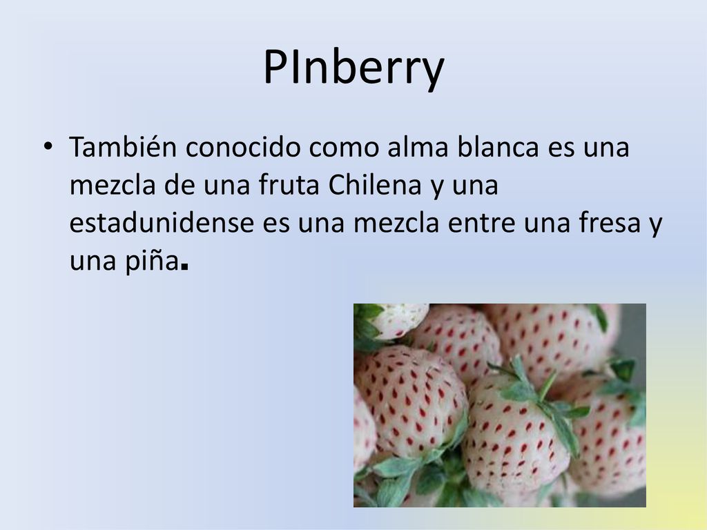 PInberry También conocido como alma blanca es una mezcla de una fruta Chilena y una estadunidense es una mezcla entre una fresa y una piña.