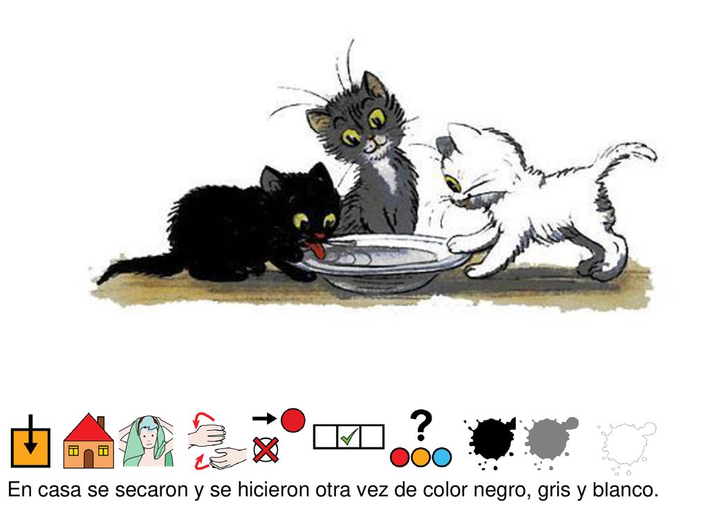 En casa se secaron y se hicieron otra vez de color negro, gris y blanco.