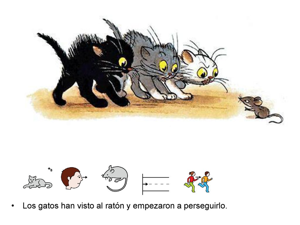 Los gatos han visto al ratón y empezaron a perseguirlo.