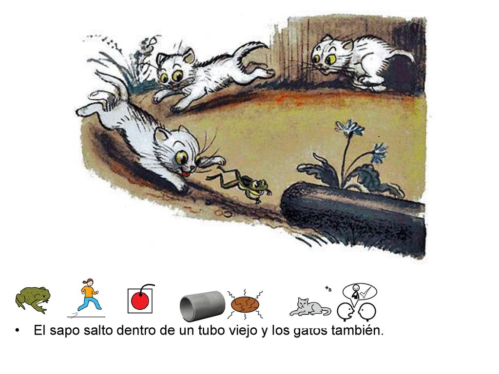 El sapo salto dentro de un tubo viejo y los gatos también.