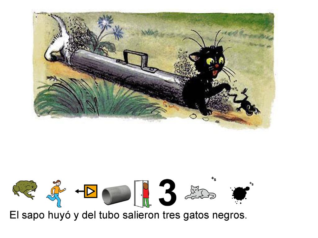El sapo huyó y del tubo salieron tres gatos negros.