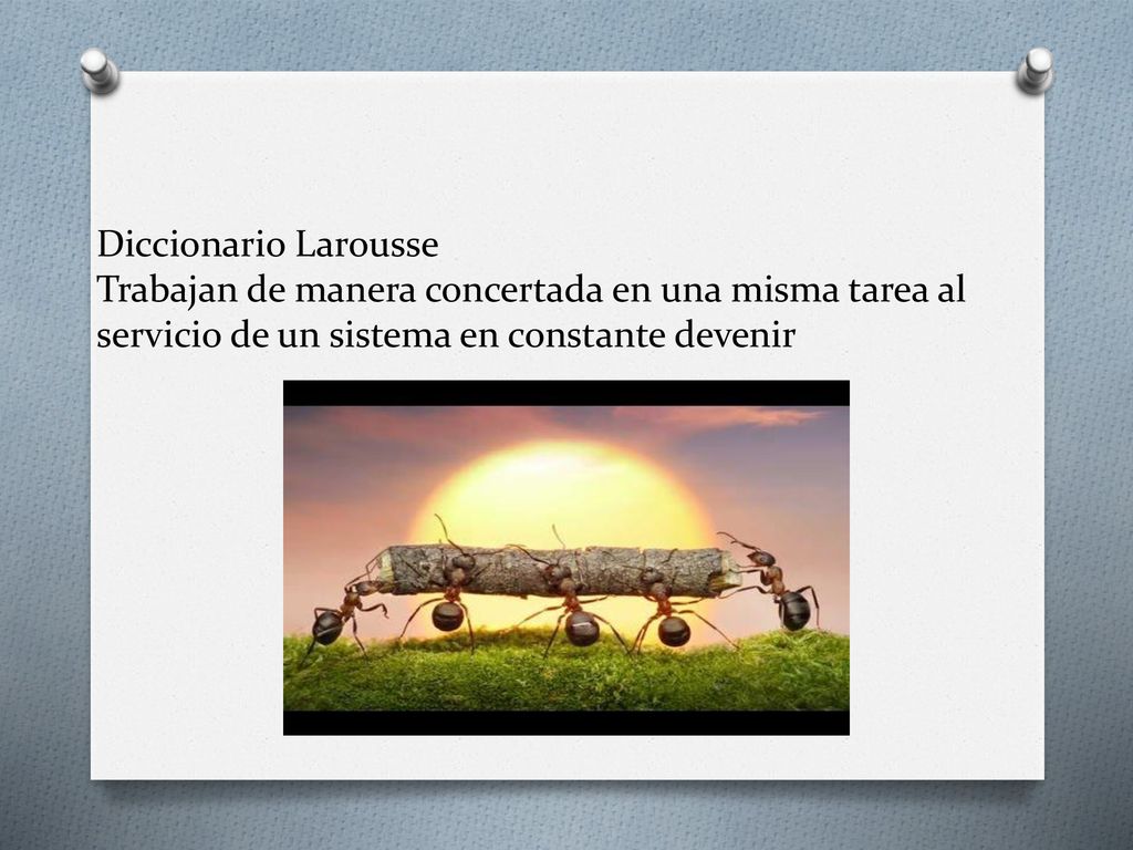 Diccionario Larousse Trabajan de manera concertada en una misma tarea al servicio de un sistema en constante devenir
