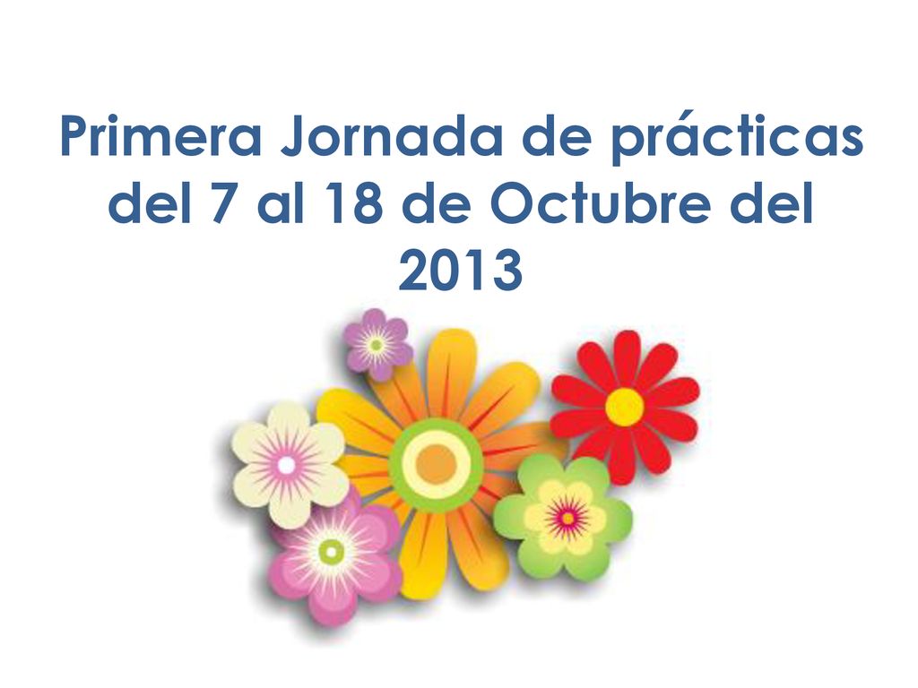 Primera Jornada de prácticas del 7 al 18 de Octubre del 2013