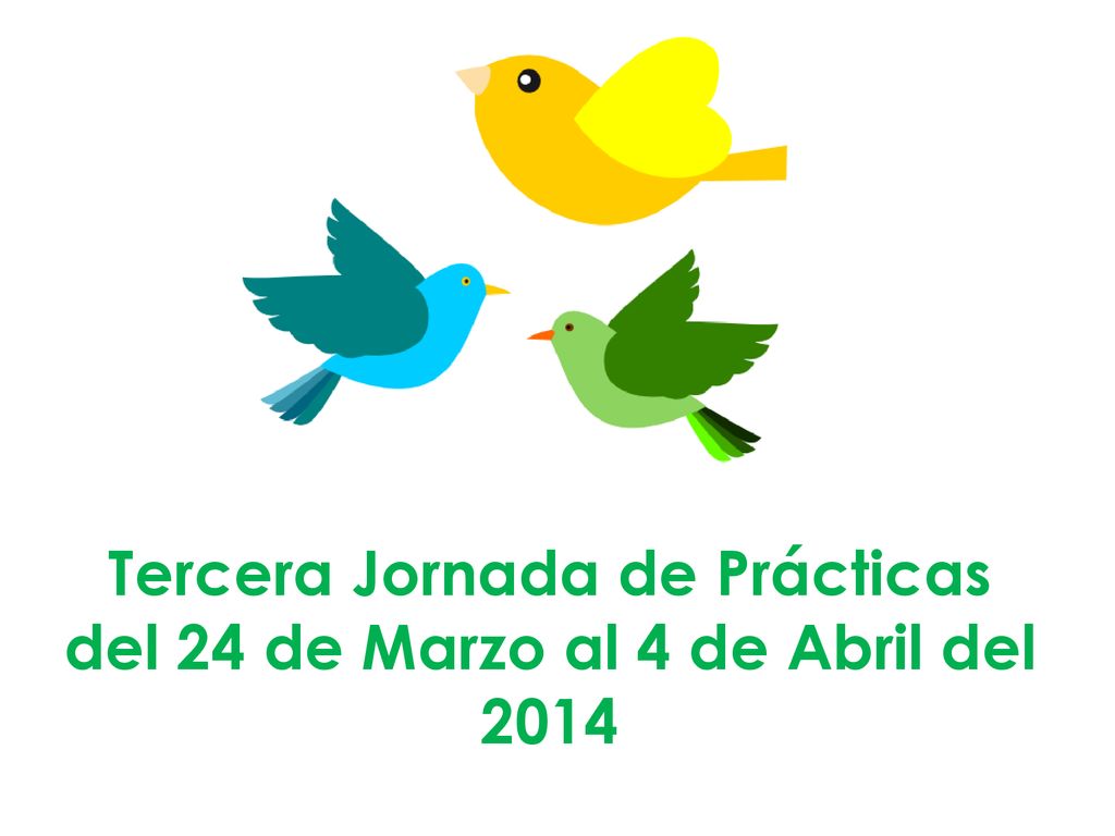 Tercera Jornada de Prácticas del 24 de Marzo al 4 de Abril del 2014