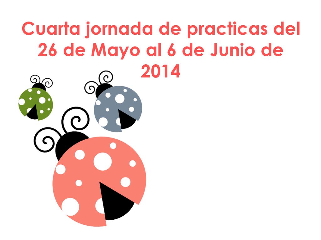 Cuarta jornada de practicas del 26 de Mayo al 6 de Junio de 2014