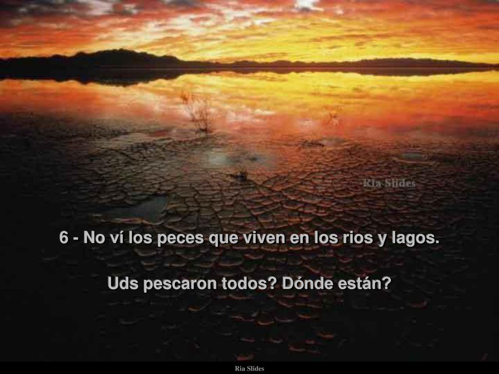 6 - No ví los peces que viven en los rios y lagos.