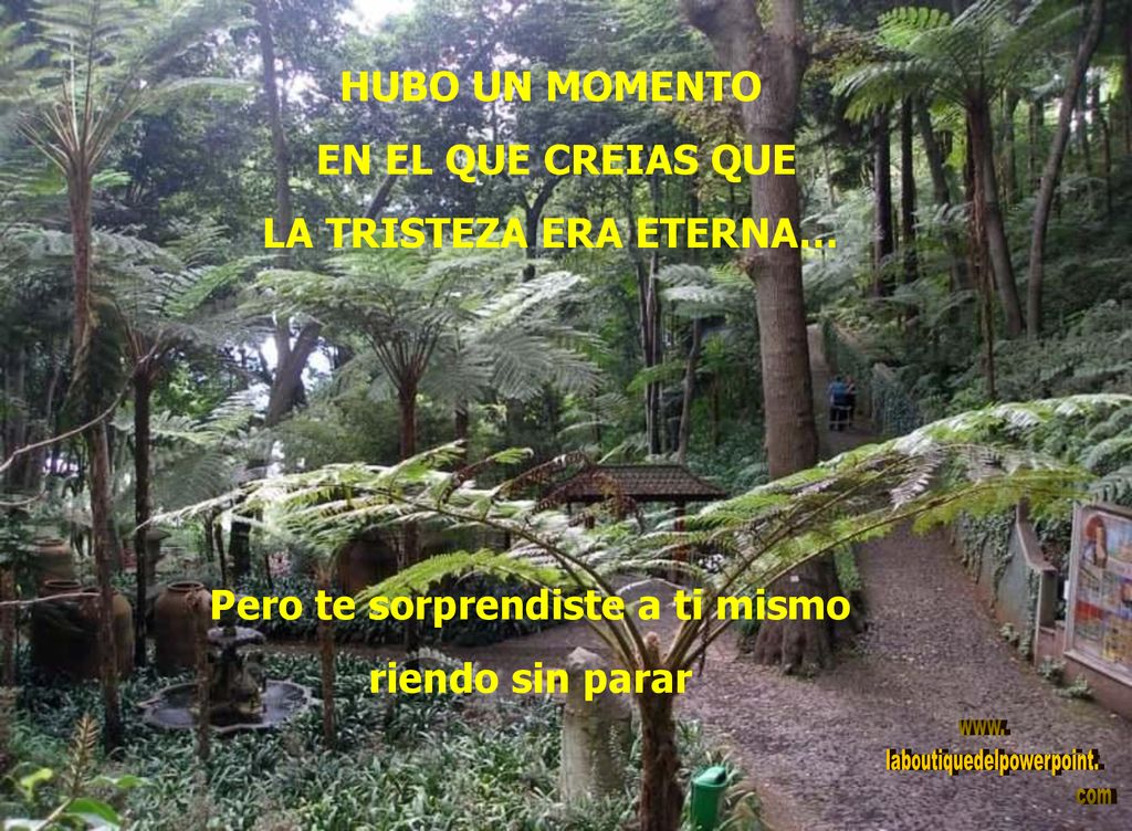 LA TRISTEZA ERA ETERNA… Pero te sorprendiste a ti mismo
