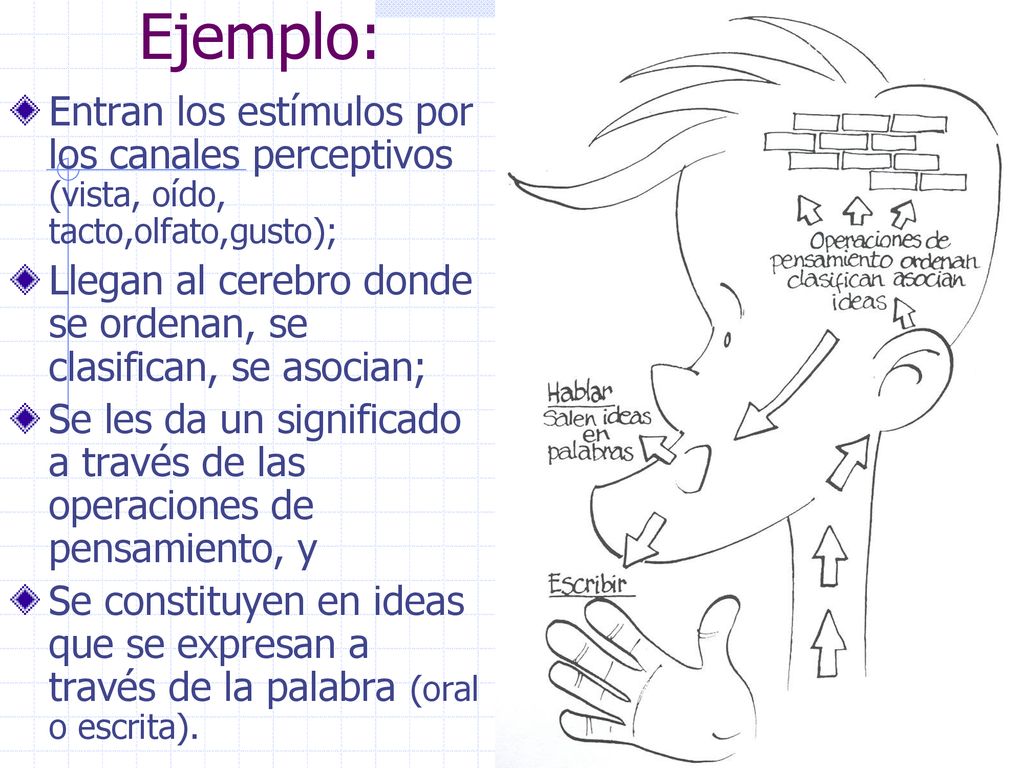 Ejemplo: Entran los estímulos por los canales perceptivos (vista, oído, tacto,olfato,gusto);