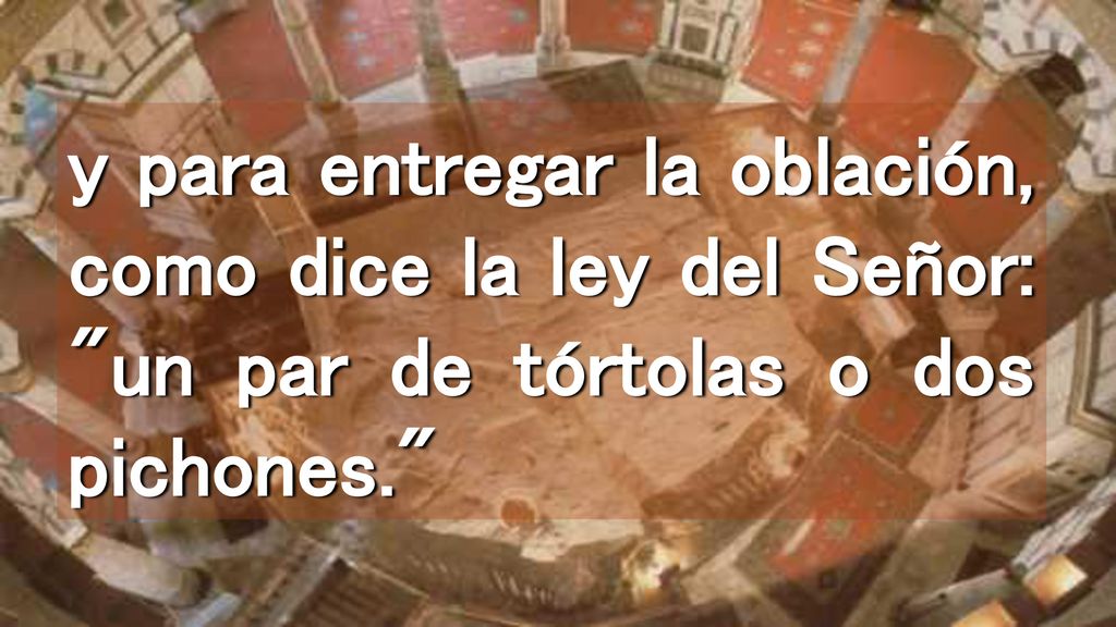 y para entregar la oblación, como dice la ley del Señor: un par de tórtolas o dos pichones.