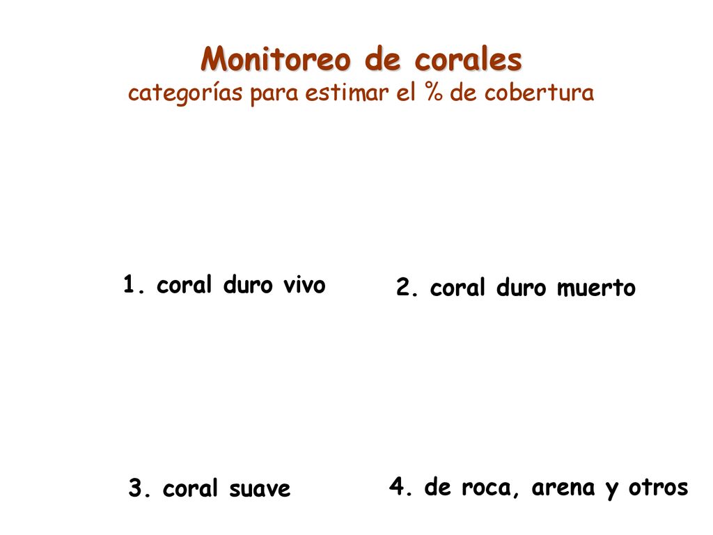 Monitoreo de corales categorías para estimar el % de cobertura