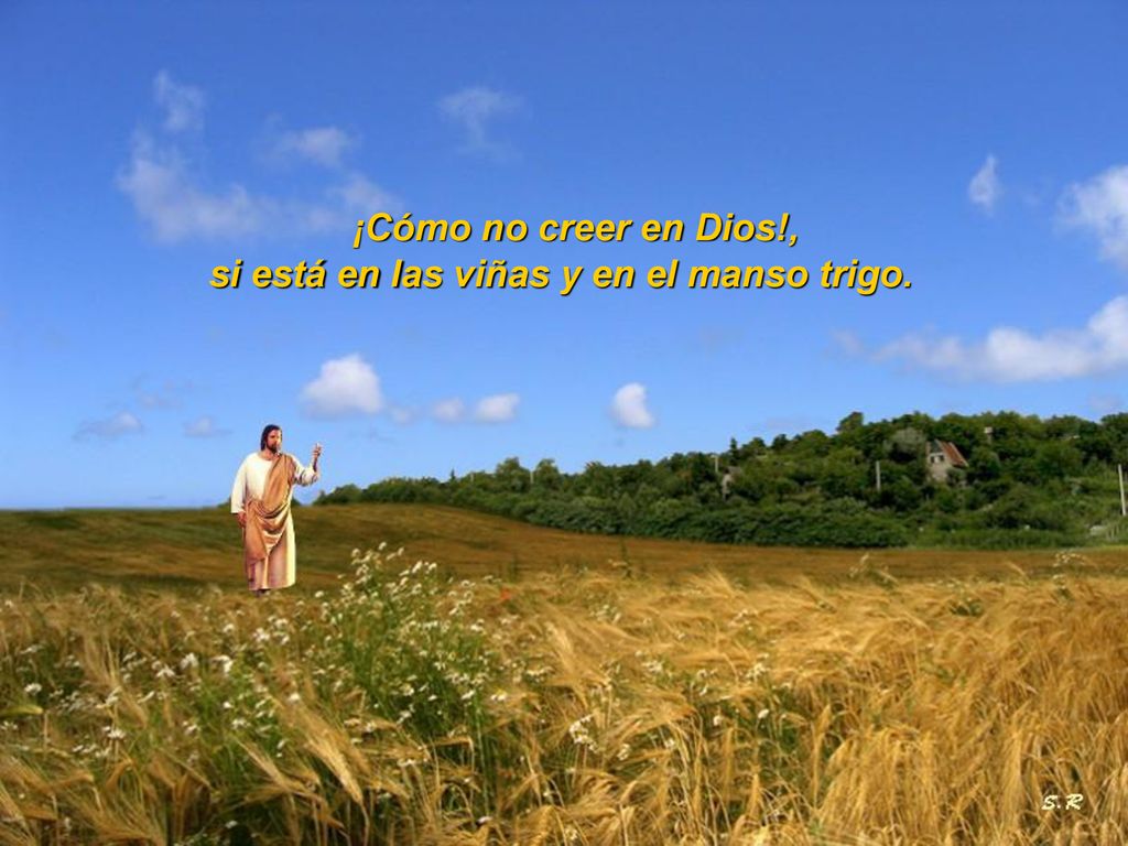si está en las viñas y en el manso trigo.