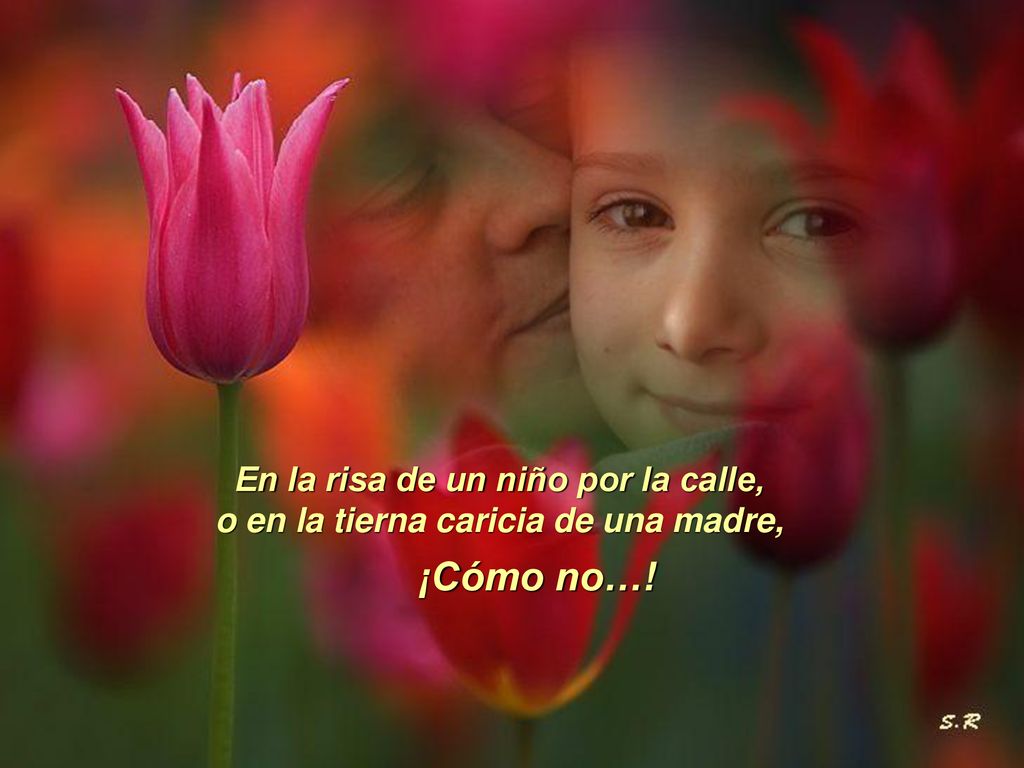 En la risa de un niño por la calle, o en la tierna caricia de una madre,