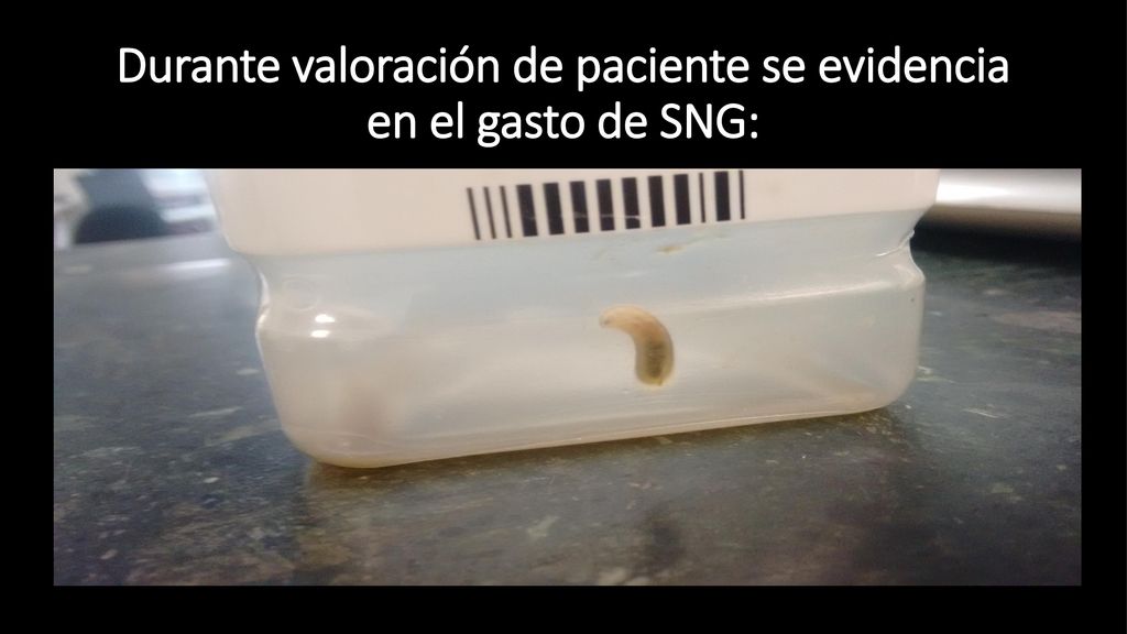 Durante valoración de paciente se evidencia en el gasto de SNG: