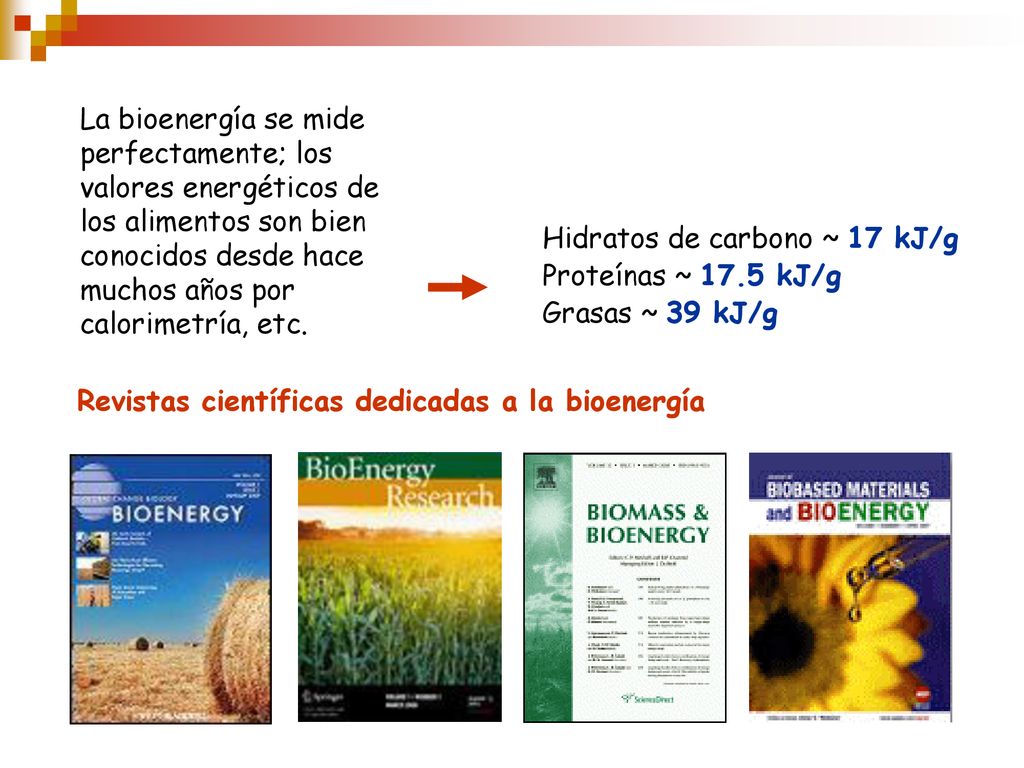 La bioenergía se mide perfectamente; los valores energéticos de los alimentos son bien conocidos desde hace muchos años por calorimetría, etc.