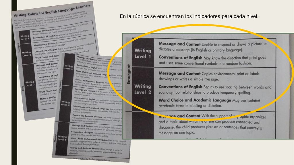 En la rúbrica se encuentran los indicadores para cada nivel.
