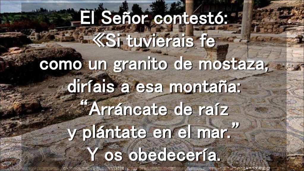 El Señor contestó: «Si tuvierais fe como un granito de mostaza, diríais a esa montaña: Arráncate de raíz y plántate en el mar. Y os obedecería.