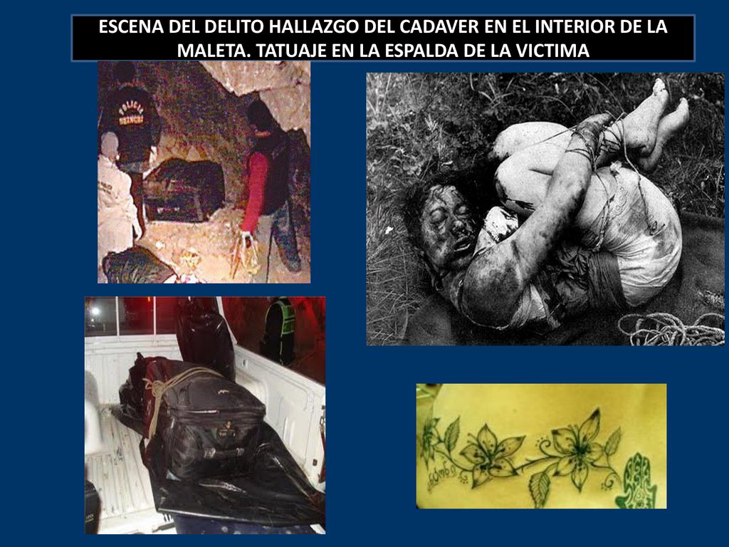 ESCENA DEL DELITO HALLAZGO DEL CADAVER EN EL INTERIOR DE LA MALETA