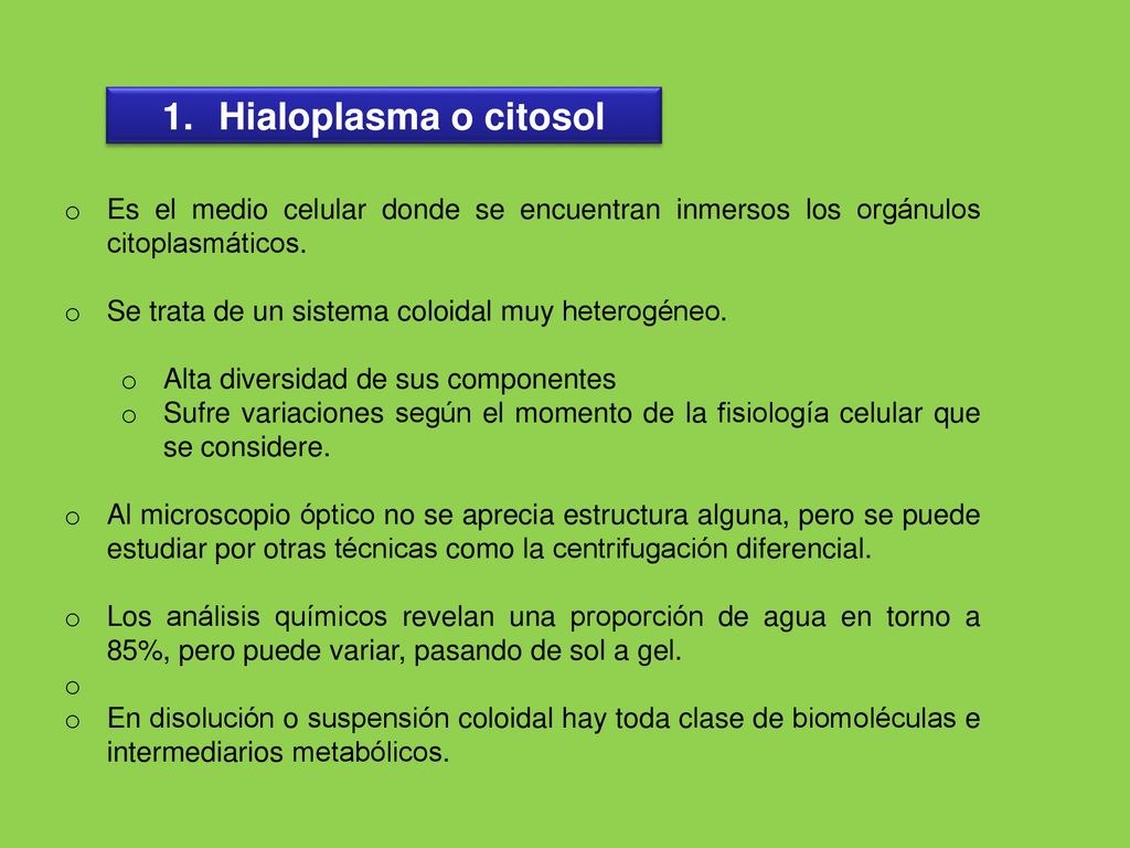 Hialoplasma o citosol Es el medio celular donde se encuentran inmersos los orgánulos citoplasmáticos.