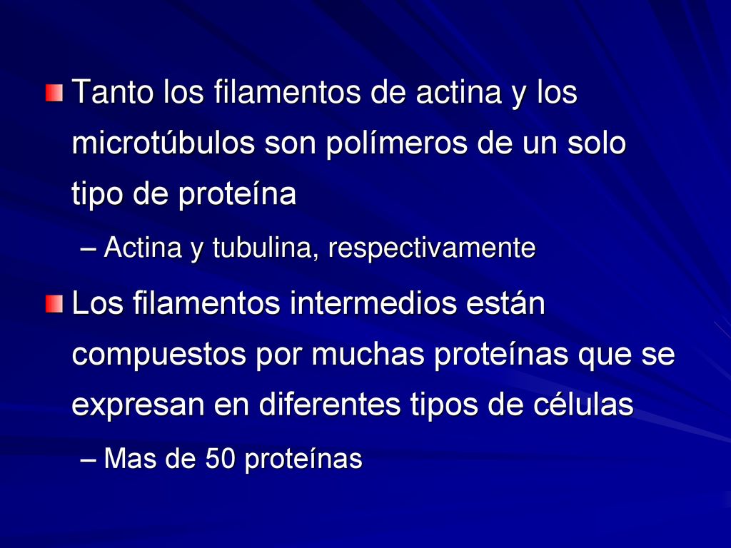 Tanto los filamentos de actina y los microtúbulos son polímeros de un solo tipo de proteína