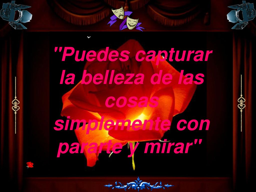 Puedes capturar la belleza de las cosas simplemente con pararte y mirar