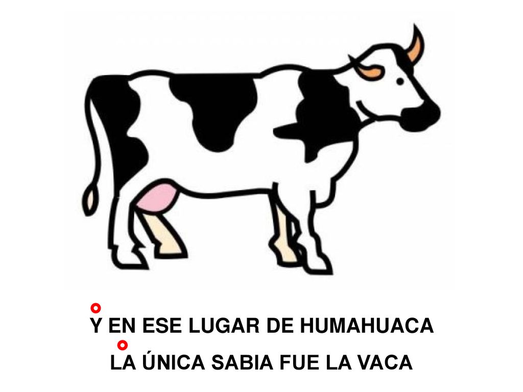 Y EN ESE LUGAR DE HUMAHUACA LA ÚNICA SABIA FUE LA VACA