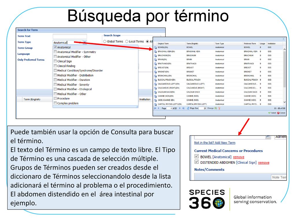 Búsqueda por término Puede también usar la opción de Consulta para buscar el término.