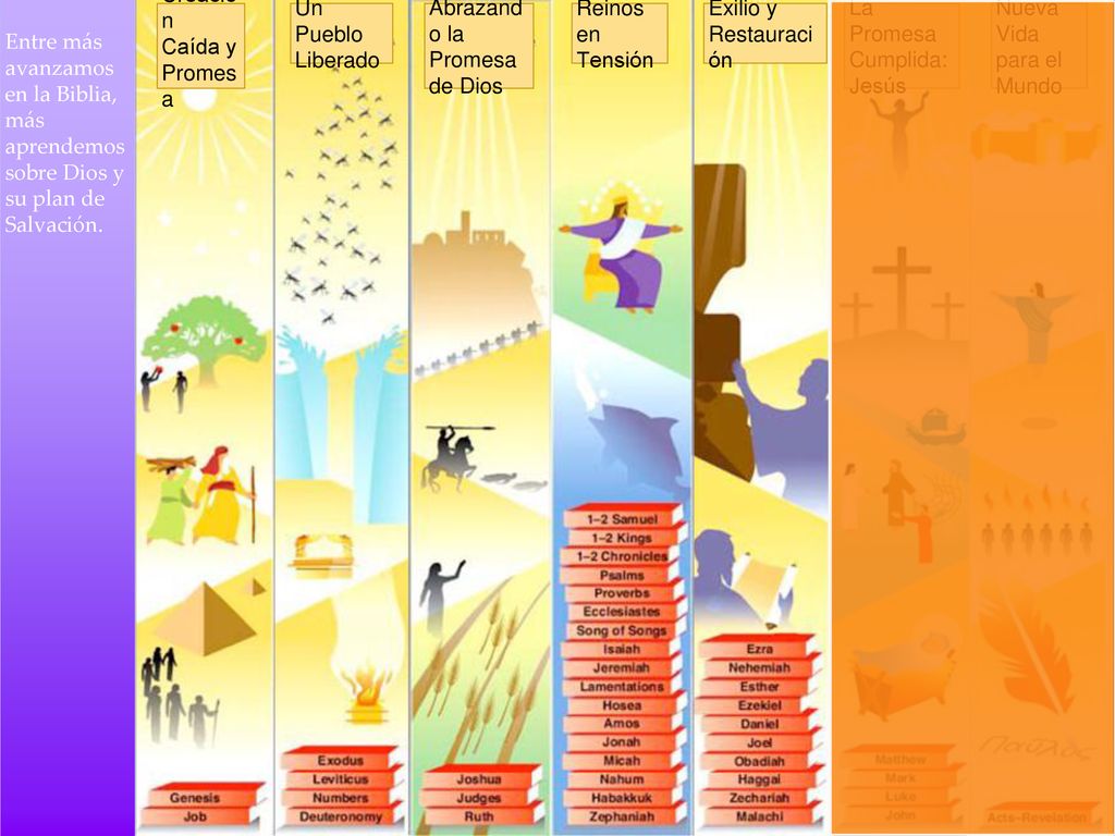 Creación Caída y. Promesa. Un Pueblo. Liberado. Abrazando la Promesa de Dios. Reinos en Tensión.