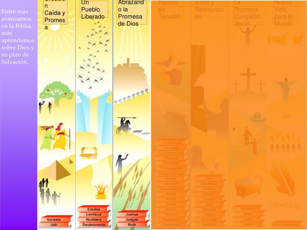 Creación Caída y. Promesa. Un Pueblo. Liberado. Abrazando la Promesa de Dios. Reinos en Tensión.