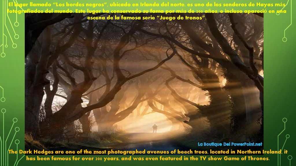 El lugar llamado Los bordes negros , ubicado en Irlanda del norte, es uno de los senderos de Hayas más fotografiados del mundo. Este lugar ha conservado su fama por más de 200 años, e incluso apareció en una escena de la famosa serie Juego de tronos .