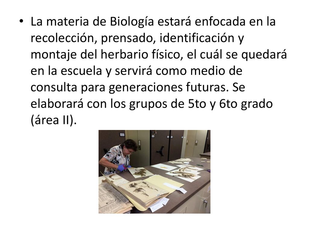 La materia de Biología estará enfocada en la recolección, prensado, identificación y montaje del herbario físico, el cuál se quedará en la escuela y servirá como medio de consulta para generaciones futuras.