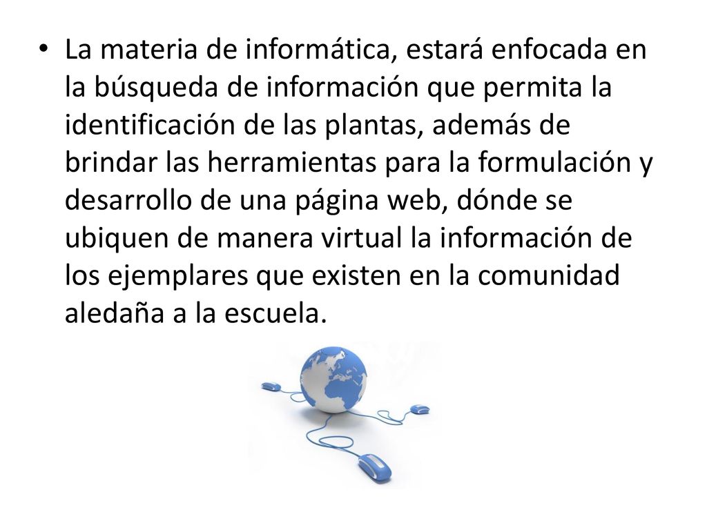La materia de informática, estará enfocada en la búsqueda de información que permita la identificación de las plantas, además de brindar las herramientas para la formulación y desarrollo de una página web, dónde se ubiquen de manera virtual la información de los ejemplares que existen en la comunidad aledaña a la escuela.