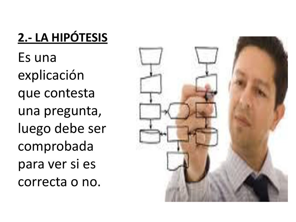 2.- LA HIPÓTESIS Es una explicación que contesta una pregunta, luego debe ser comprobada para ver si es correcta o no.