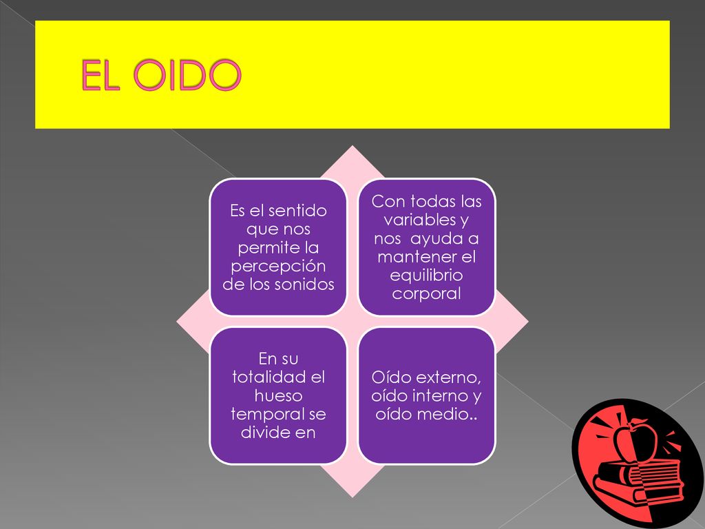 EL OIDO Es el sentido que nos permite la percepción de los sonidos. Con todas las variables y nos ayuda a mantener el equilibrio corporal.