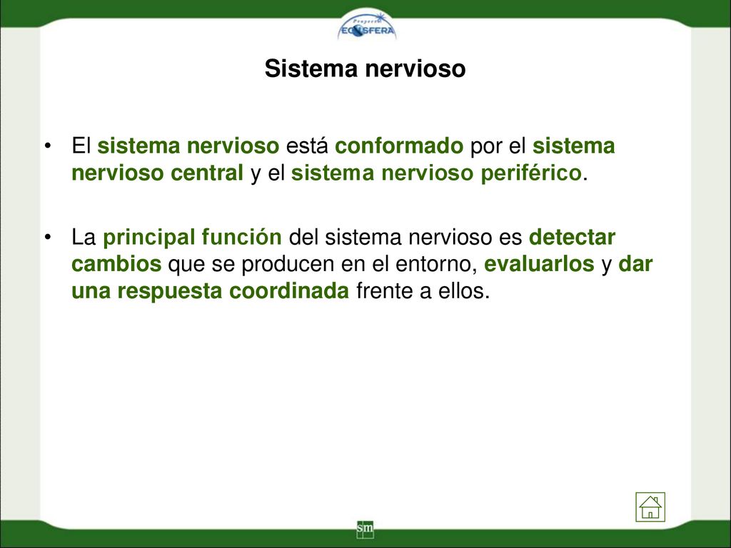 Sistema nervioso El sistema nervioso está conformado por el sistema nervioso central y el sistema nervioso periférico.