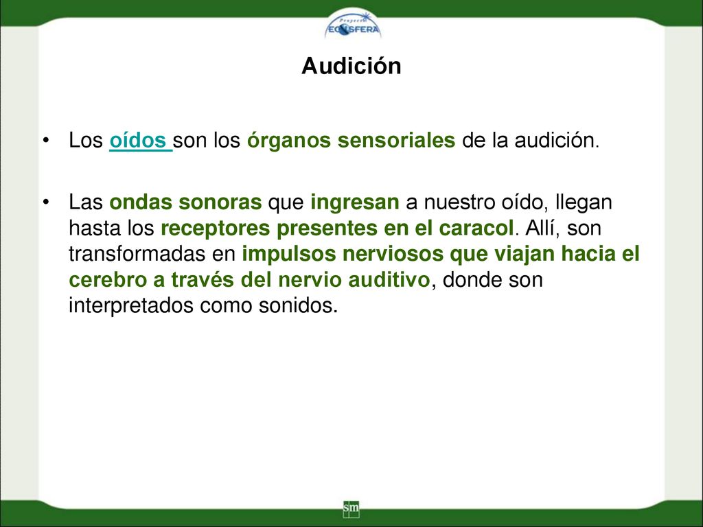 Audición Los oídos son los órganos sensoriales de la audición.