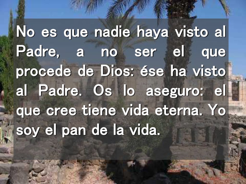 No es que nadie haya visto al Padre, a no ser el que procede de Dios: ése ha visto al Padre.
