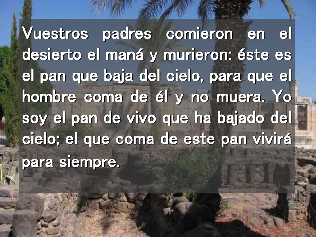 Vuestros padres comieron en el desierto el maná y murieron: éste es el pan que baja del cielo, para que el hombre coma de él y no muera.