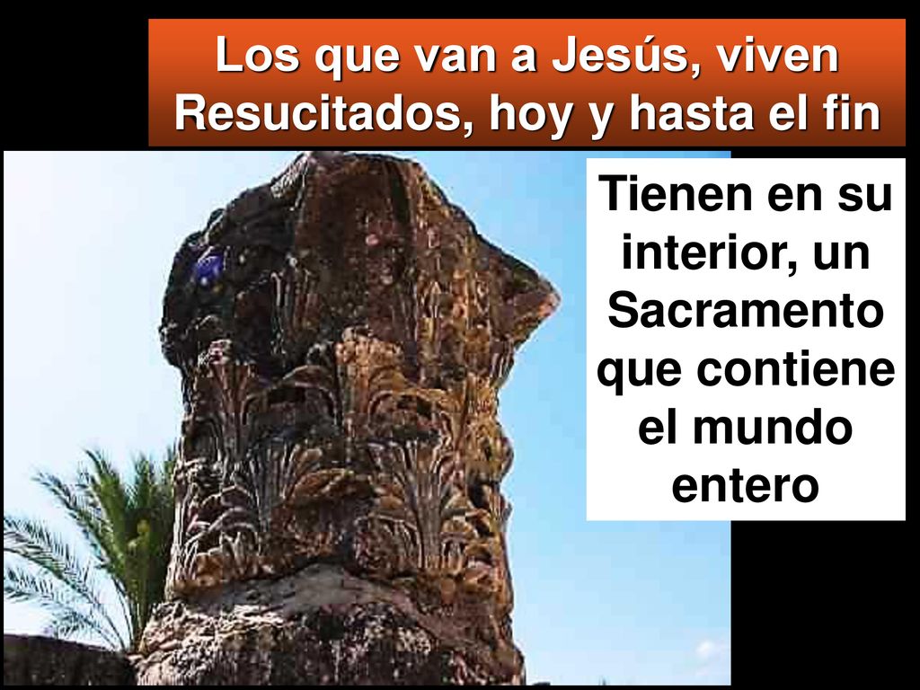 Los que van a Jesús, viven Resucitados, hoy y hasta el fin