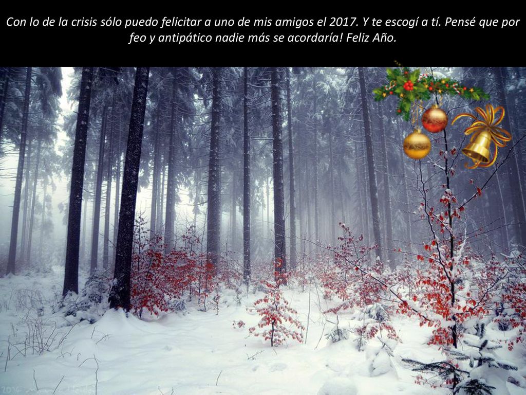 Con lo de la crisis sólo puedo felicitar a uno de mis amigos el 2017