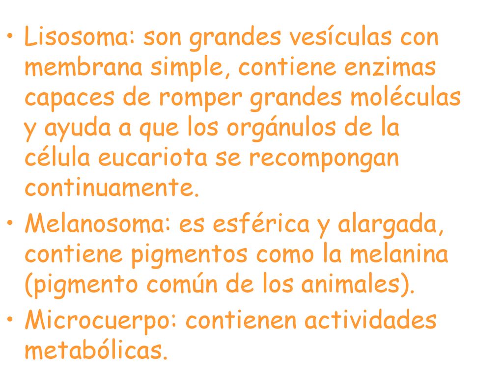 Lisosoma: son grandes vesículas con membrana simple, contiene enzimas capaces de romper grandes moléculas y ayuda a que los orgánulos de la célula eucariota se recompongan continuamente.