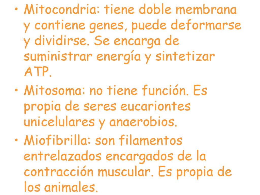 Mitocondria: tiene doble membrana y contiene genes, puede deformarse y dividirse. Se encarga de suministrar energía y sintetizar ATP.